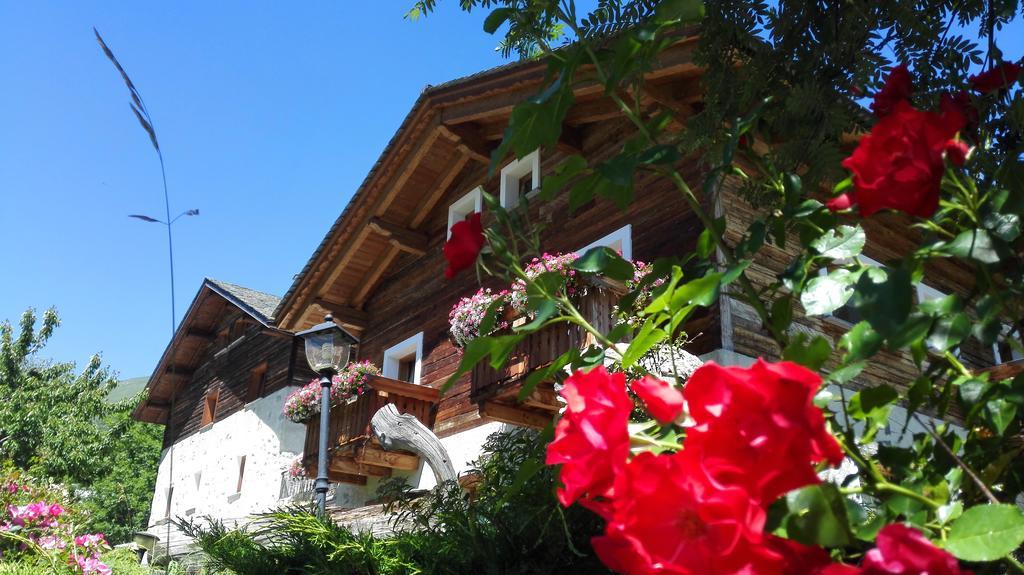 Agriturismo Raethia Isolaccia Luaran gambar